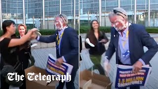 video: Ryanair boss Michael O’Leary attacked with cream pie by activists in Brussels